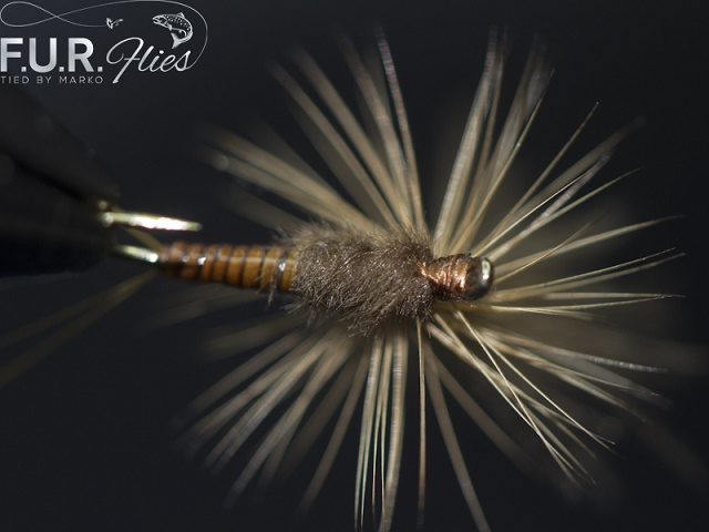Mušica Quill Parachute