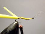 2w