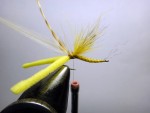 7w