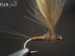 9. Namotavamo CDC pero za thorax web