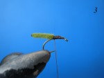 IMG_6023