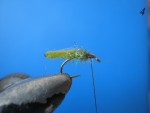 IMG_6026