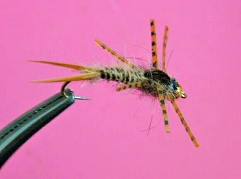 Nimfa kamenjarke s gumenim nogicama