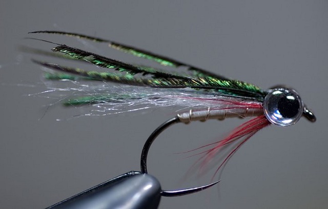 154324_170395516316740_1454369_n