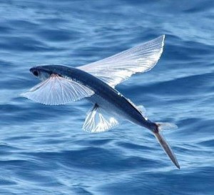 154702_442419615807164_744347306_n