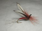 Agostino_Roncallos_Red_spinner web