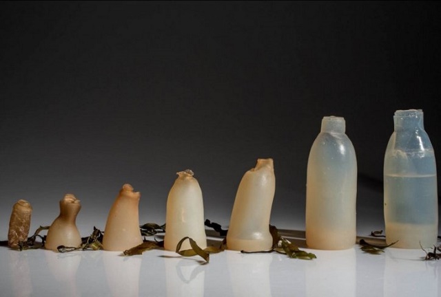 Biorazgradiva flasa web