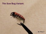 The Sow Bug Variant.