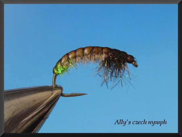 allys-czech-nymph web