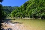bienne web1