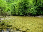 bienne web2