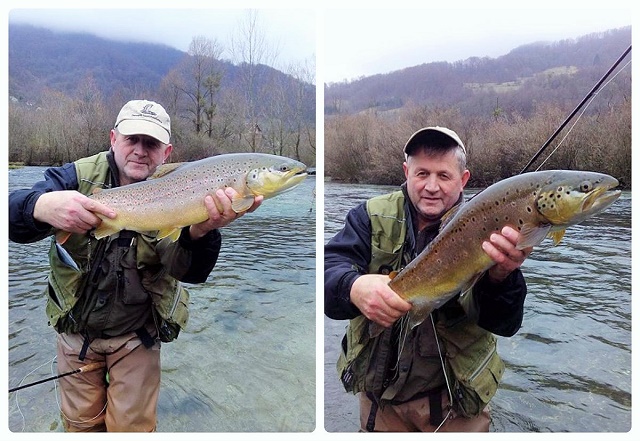 Velike Blažine potočare iz Ribnika