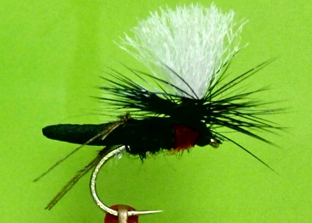 gotova mušica variant web22