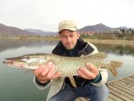 Enis Luković web