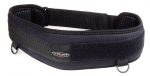 vision-support-belt