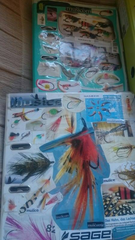 13187694_10154168103417171_601634345_n