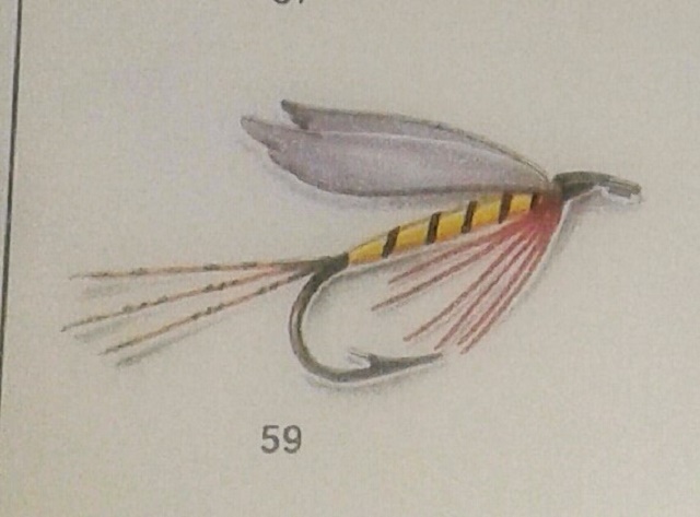 20160519_091932-1-1 (2)