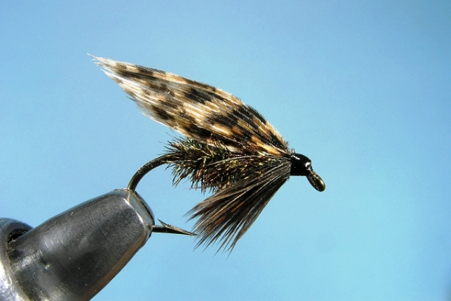 AlderFly