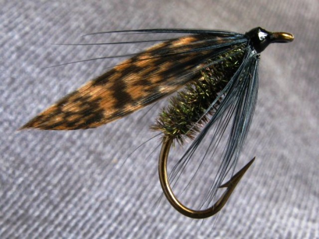 AlderFly1