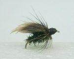 Alderfly_dry