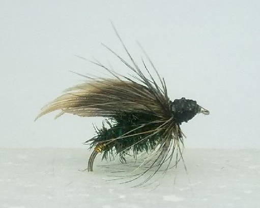 Alderfly_dry
