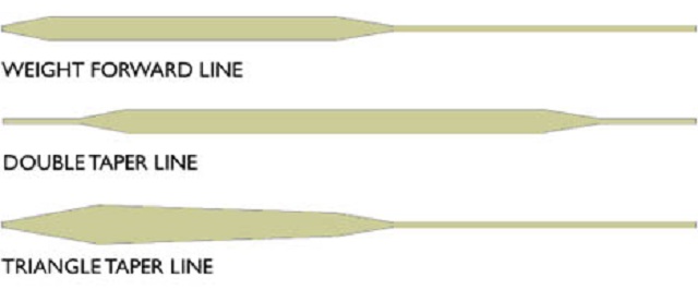 flylines