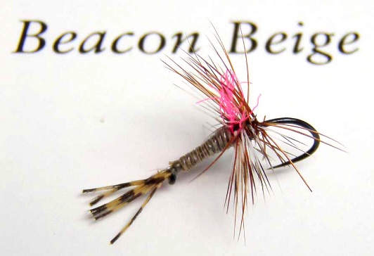 Beacon-Beige