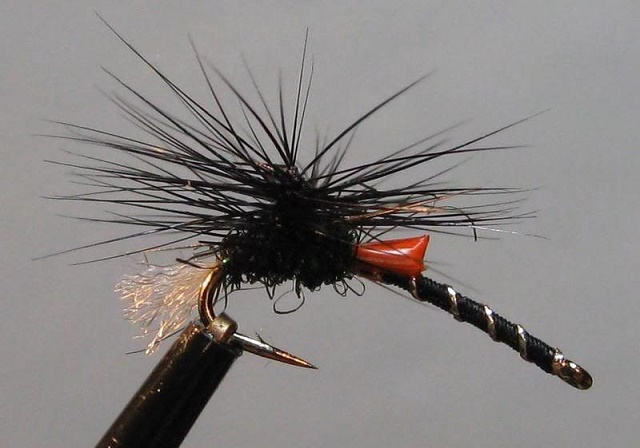 BlackBuzzer16