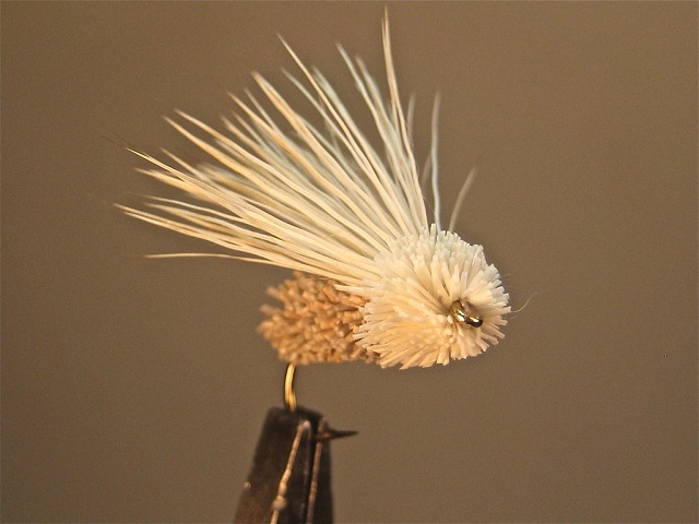 Mangler moth w3