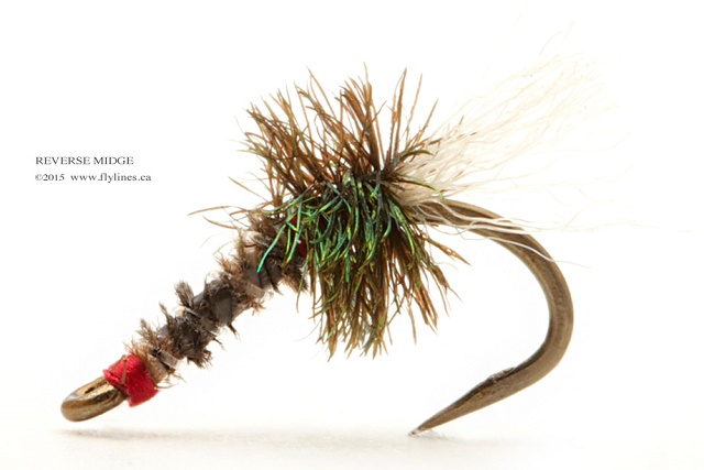 flylines_midge_reverse