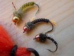 larva_lace_nymphs