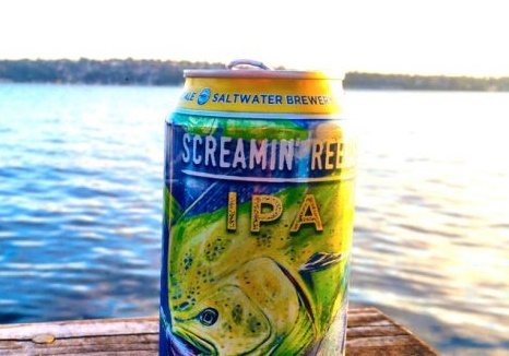 pivo saltwaterbrewery