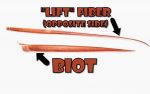 turkey-biot-feather-comparison