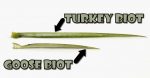 turkey-vs-goose-biot