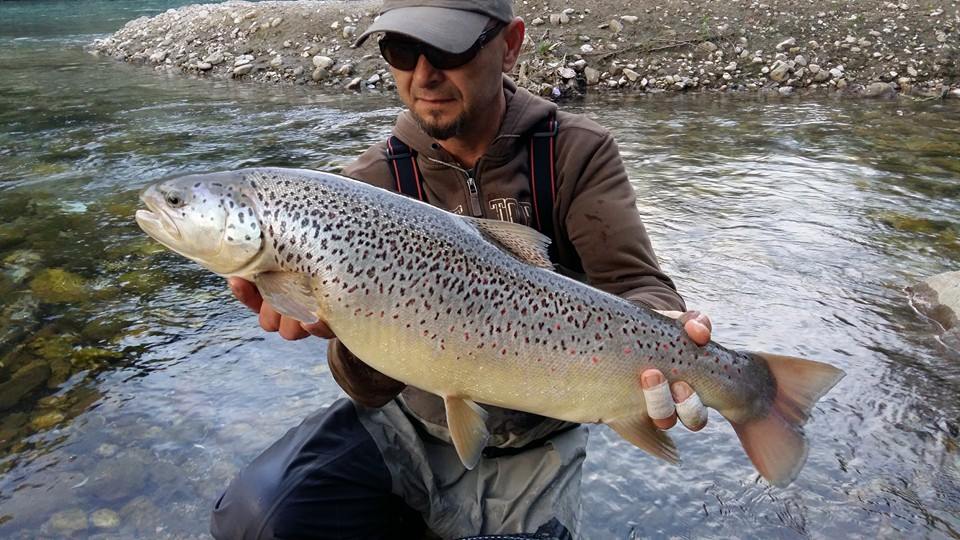 Potočna pastrmka 70+cm – Tomi Pušnik