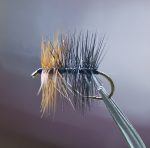 Bivisible variant