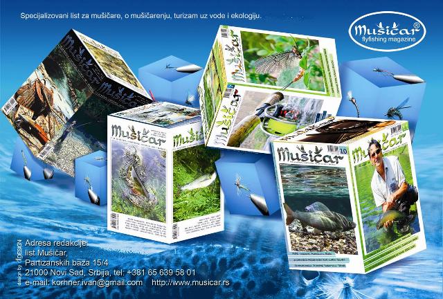 Musicar Reklama online web