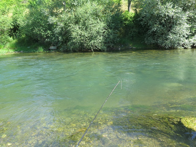 mesto ulova 2