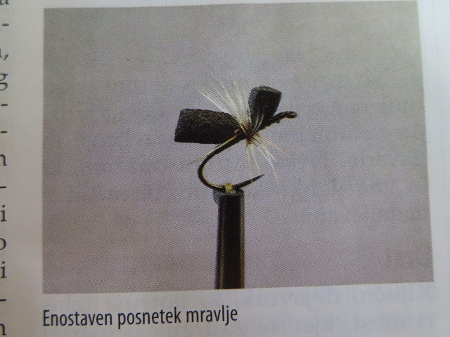 mravak slovenacki