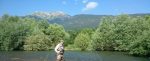 plav2