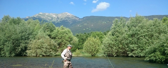 plav2