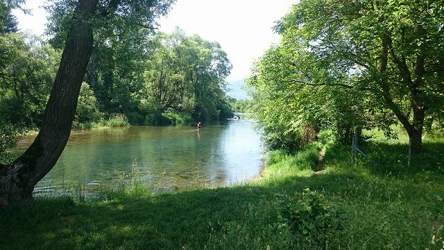 plav3