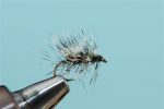 Griffiths Gnat