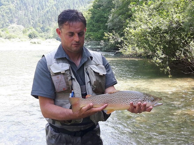 Neretva 3
