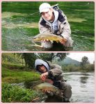 collage lipljan i potocara web