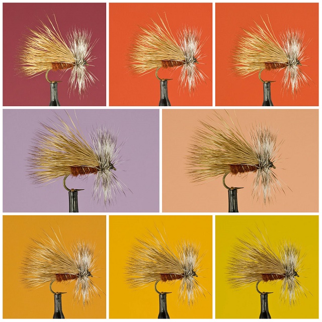 collage oranz zute w