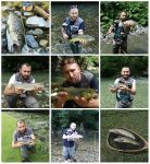 collage ulovi