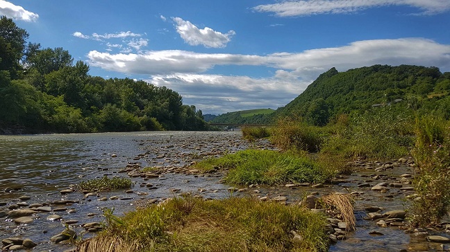 drava