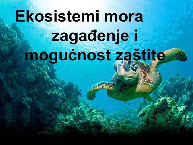 ekosistemimora-131218134928-phpapp02-thumbnail-4