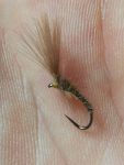emerger web